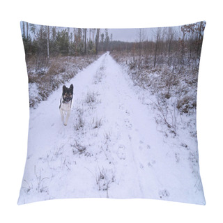 Personality  Loyal Companion Dashes Through A Snowy Trail, Eager To Reunite With Their Owner.Joyful Dog Sprinting On A Winter Path, Encapsulates The Excitement Of A Snowy Day.A Dog's Joy Is Pure As It Races Over The Winter White, A Moment Of Pure Happiness. Pillow Covers