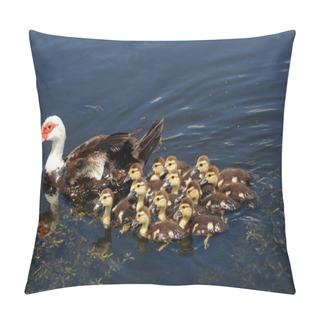 Personality  Mother And A Dozen Cute Baby Ducks In Lake Pillow Covers
