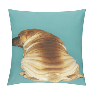 Personality  Shar-pei Pillow Covers