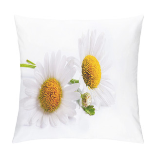 Personality  Art Daisies Spring White Flower Isolated On White Background Pillow Covers