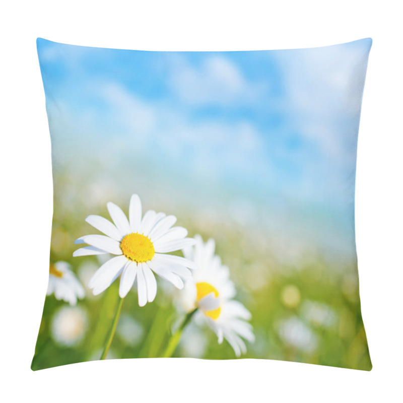 Personality  Chamomile flowers in field pillow covers