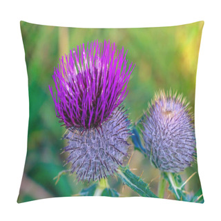 Personality  Spear Thistle. Cirsium Vulgare In The Garden. Selective Focus Pillow Covers