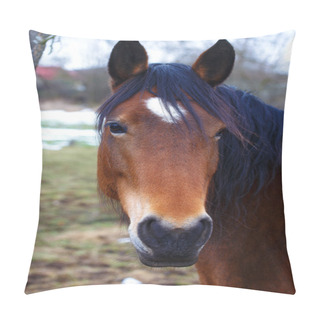 Personality  Head Brown Horse And  Land In Background Pillow Covers