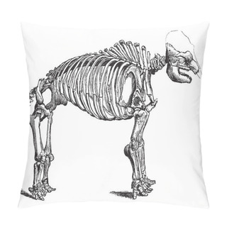 Personality  Mastodon Skeleton Is Any Species Of Extinct Mammutid Proboscideans In The Genus Mammut, Vintage Line Drawing Or Engraving Illustration. Pillow Covers
