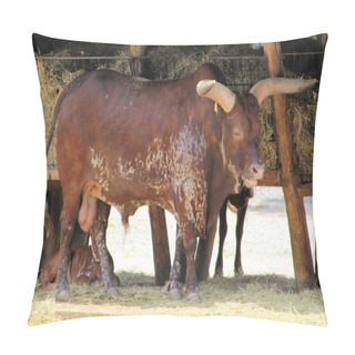 Personality  Herbivore Pillow Covers