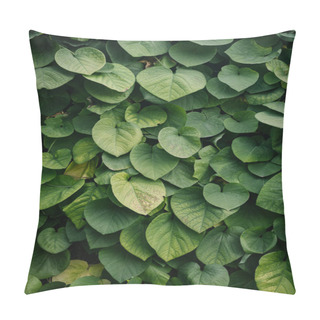 Personality  Close-up Shot Of Green Vine Leaves Covering Wall Pillow Covers