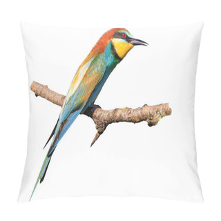 Personality  Bee-eater Isolated On A White Background Pillow Covers