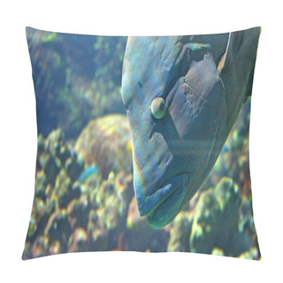 Personality  Blue Sea Bass Pillow Covers