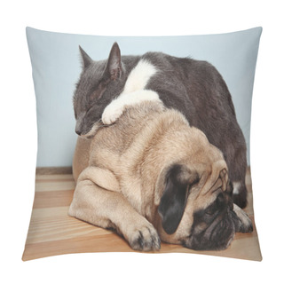 Personality  Cute Cat Lying On Pug Pillow Covers