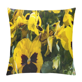 Personality  Spring Flowers In The Garden - Beautiful Spring Or Easter Scene Pillow Covers
