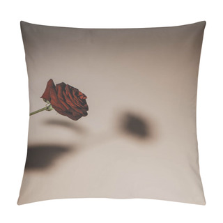 Personality  Silhouette Of Red Rose Flower On Beige Background Pillow Covers