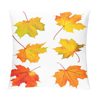 Personality  Several Fall Maple Leaves Isolated On White Background Pillow Covers