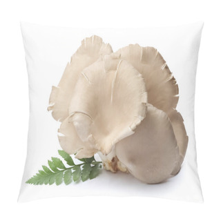 Personality  Delicious Organic Oyster Mushrooms And Leaf On White Background Pillow Covers