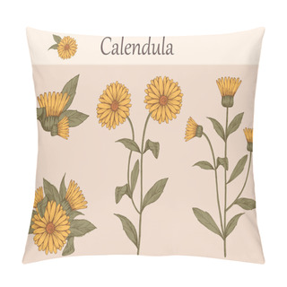 Personality  Hand-drawn Image Of Calendula Flowers With Stems And Leaves.botanical Illustration. Healing Herbs For Design Natural Cosmetics, Aromatherapy,homeopathy. Pillow Covers