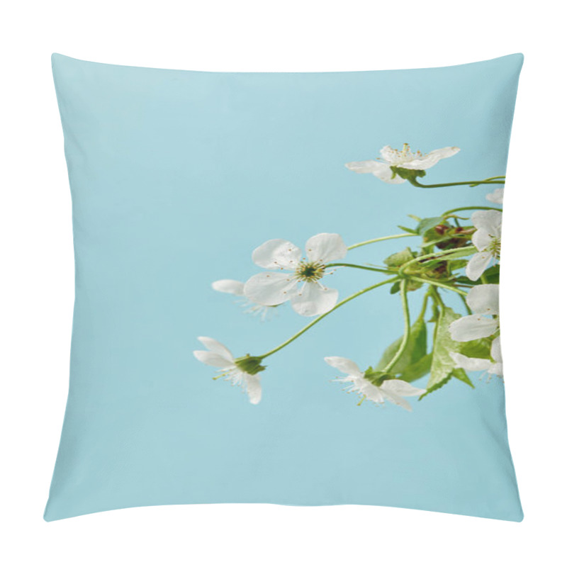 Personality  close-up shot of aromatic white cherry flowers isolated on blue pillow covers