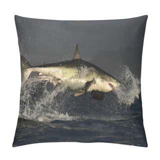 Personality  Flying Great White Shark. Pillow Covers