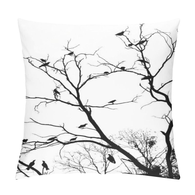 Personality  dark silhouettes of birds sitting on bare tree branches isolated on white background, close view   pillow covers