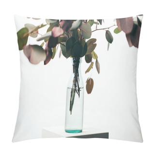 Personality  Green Eucalyptus Branches In Bottle Isolated On White Pillow Covers