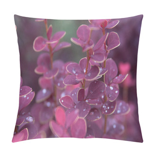 Personality  Wet Twig Of Red Barberry With Water Drops On Leaves After Rain Pillow Covers