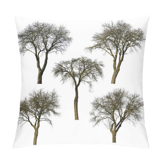 Personality  Set Of Trees Without Leaves Isolated On White Background. Pillow Covers