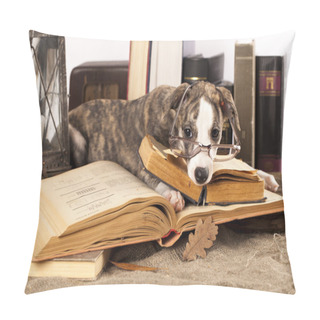 Personality  Dogs In Glasses With Books Pillow Covers
