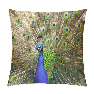 Personality  Peacock Pillow Covers