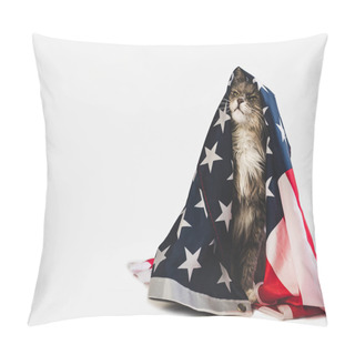 Personality  Cute Kitten And American Flag. Studio Photo Shoot Pillow Covers