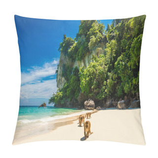 Personality  Monkeys Waiting For Food In Monkey Beach, Thailand Pillow Covers