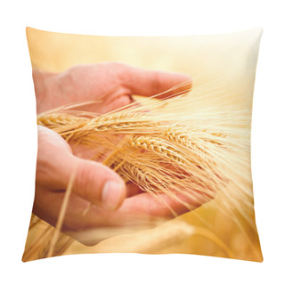 Personality  Wheat Ears In The Hands. Harvest Concept Pillow Covers