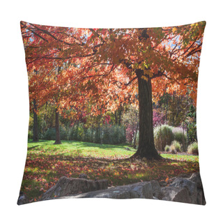 Personality  Tree With Red Fall Foliage Pillow Covers