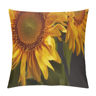 Personality  Dark Background With Beautiful Yellow Sunflowers, On Black Pillow Covers