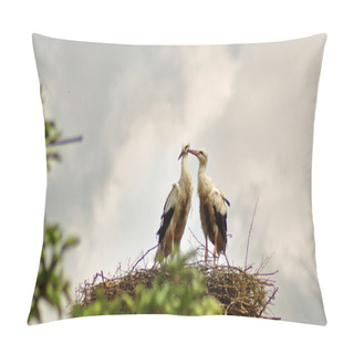 Personality  Stork Couple In Nest Pillow Covers