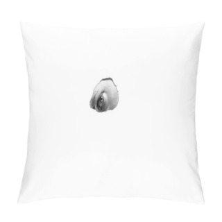 Personality  Parts Of The Face On A White Background Pillow Covers
