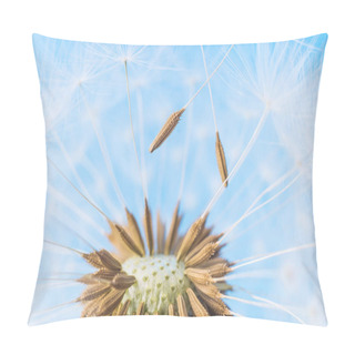 Personality  Dandelion Abstract Background. White Blowball Over Blue Sky Pillow Covers
