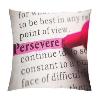 Personality  Persevere Pillow Covers