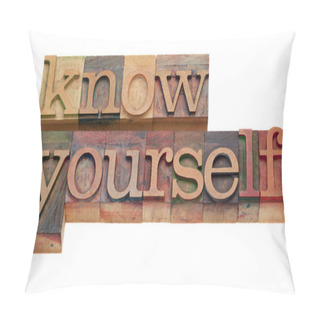 Personality  Know Yourself - Word In Vintage Wooden Lettepress Printing Blocks, Isolated On White Pillow Covers