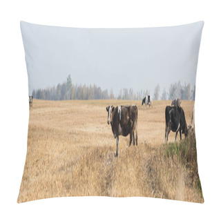 Personality  Panoramic Concept Of Herd Of Cows And Bulls Standing In Pasture  Pillow Covers