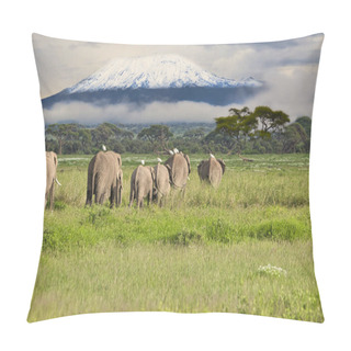 Personality  Elephants And Mount Kilimanjaro In Amboseli National Park  Pillow Covers