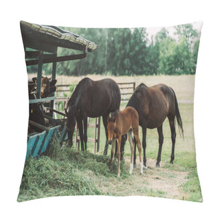 Personality  Brown Horses With Cub Eating Hay On Farm Near Cowshed Pillow Covers