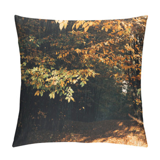 Personality  Selective Focus Of Autumn Leaves On Tree Twigs In Peaceful Forest  Pillow Covers