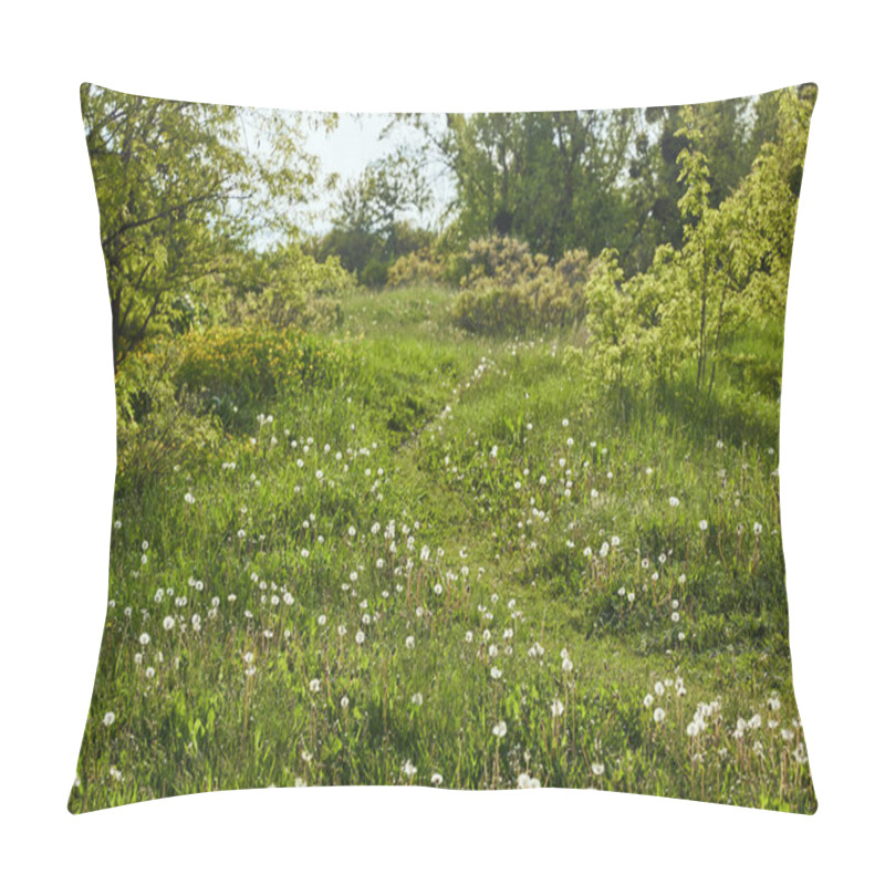 Personality  landscape of green field with dandelions and trees  pillow covers