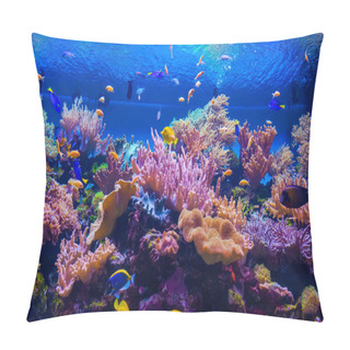 Personality  Tropical Fish On A Coral Reef Pillow Covers