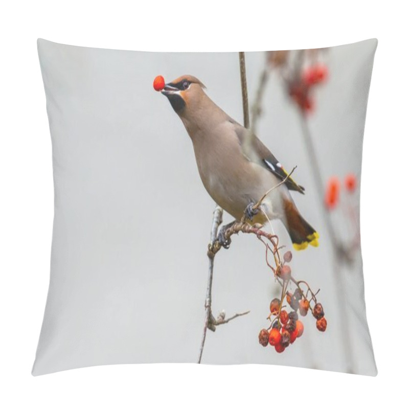 Personality  Bohemian Waxwing Winter Passerine Bird With Berry Pillow Covers