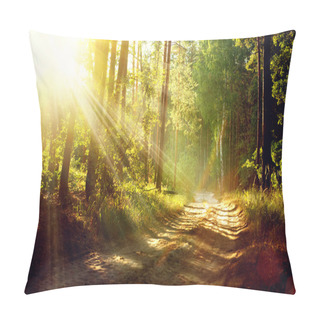 Personality  Beautiful Scene Misty Old Forest With Sun Rays, Shadows And Fog Pillow Covers