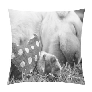 Personality  Sleeping Labrador Puppies On Green Grass Pillow Covers