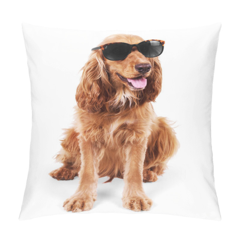 Personality  beautiful cocker spaniel in sunglasses siting isolated on white  pillow covers