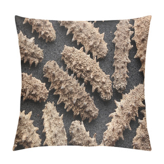 Personality  Sea Cucumbers Pillow Covers