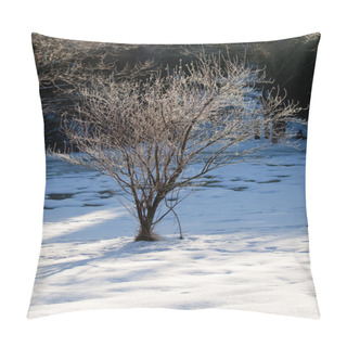 Personality  Sunlight On Frosted Twigs Of Tree Pillow Covers