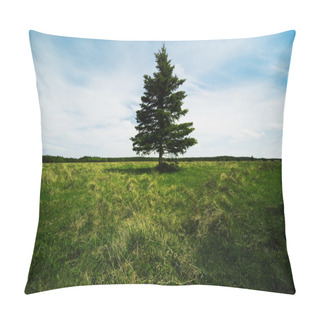 Personality  Single Evergreen Tree Pillow Covers