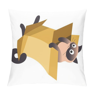 Personality  Pet Or Domestic Animal Siamese Cat Playing With Box Pillow Covers